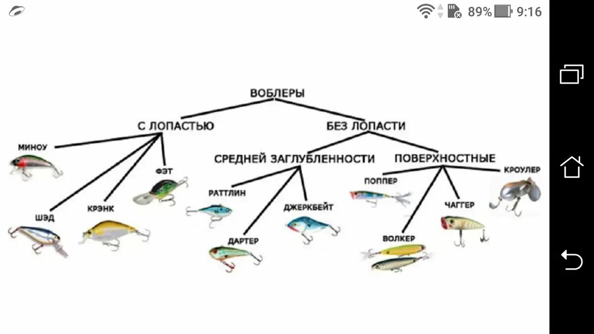 Можно ли ловить на спиннинг в запрет. Воблер для троллинга до 2м. Схема проводки воблеров. ТРОЛЛИНГ судака на воблеры схема. Оснастки для троллинга Воблер.