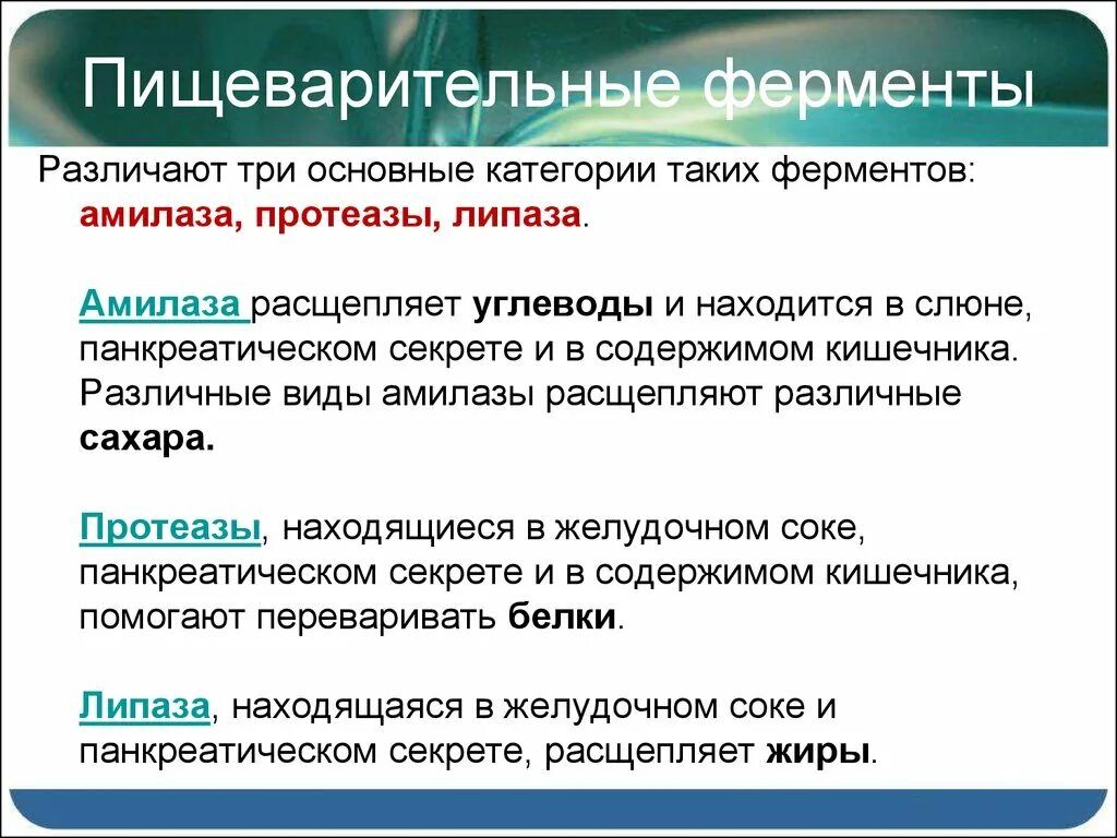 Какая система вырабатывает ферменты. П щеварительные ферменты. Ферменты амилаза липаза протеаза. Переваривание основные ферменты. Основные пищеварительные ферменты.