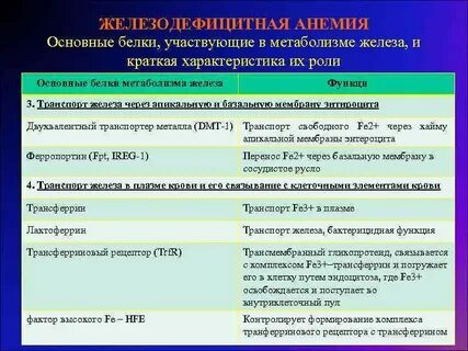 Двухвалентное железо