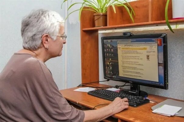 Курсы мошенников. Компьютерная грамотность для пожилых людей. Компьютерные курсы для пожилых. Курсы компьютерной грамотности для пожилых.