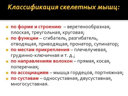 Классификация и т