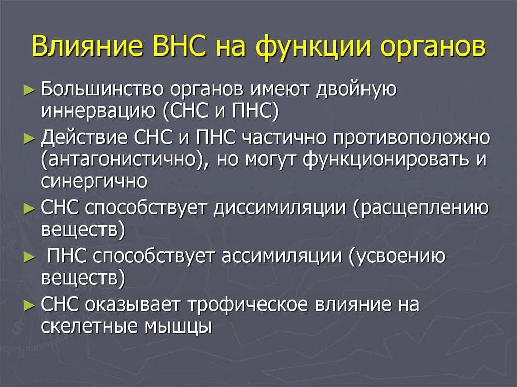 Классификация вегетативной. Влияние вегетативной нервной системы на органы. Влияние ВНС на функцию органов. Функции вегетативной нервной системы. Влияние автономной нервной системы на функции тканей и органов.