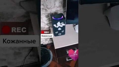 Робот ругается с алисой видео