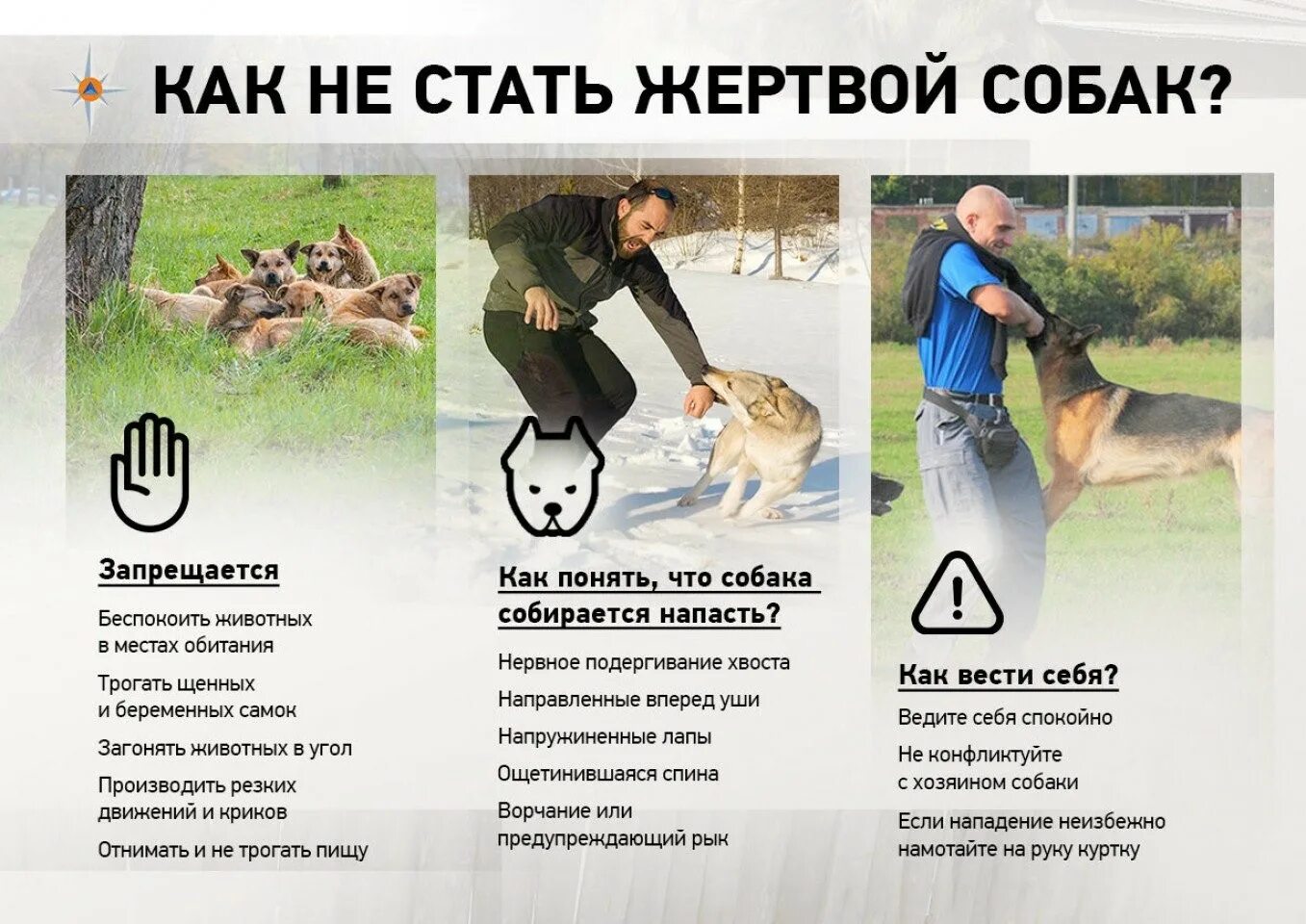 Как не стать ведомой