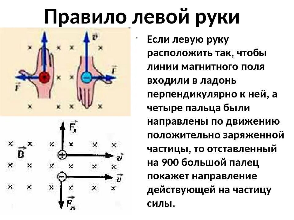 Правило левой руки физика 8 класс. Магнитное поле 9 класс физика правило левой руки. Правило левой руки для магнитного поля 8 класс. Правило левой руки физика 8 класс магнитное поле.