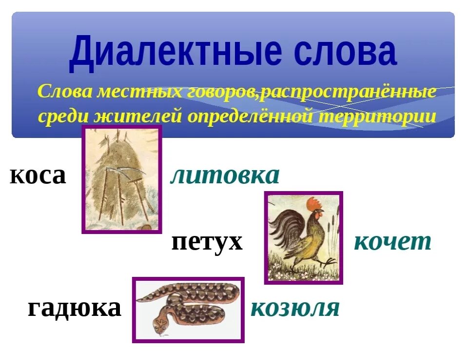 3 диалект. Диалектные слова. Диалектные слова примеры. Слова диалектизмы. Диалекты примеры.