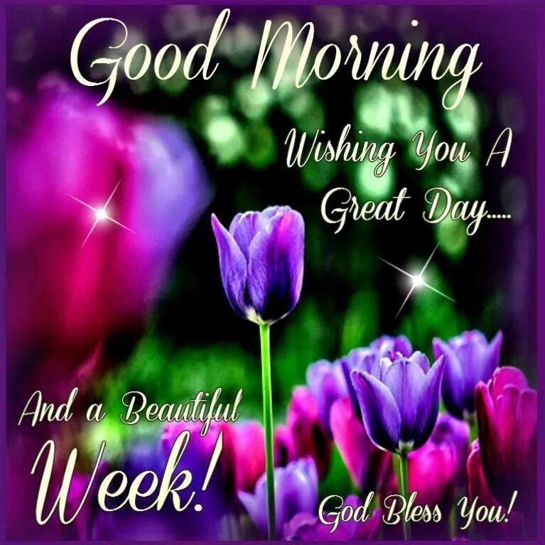 Dear friend good day. Открытки good morning have a good Day. Good morning have a nice Day картинки. Good morning have a nice Day гифки. Good morning have a great Day.