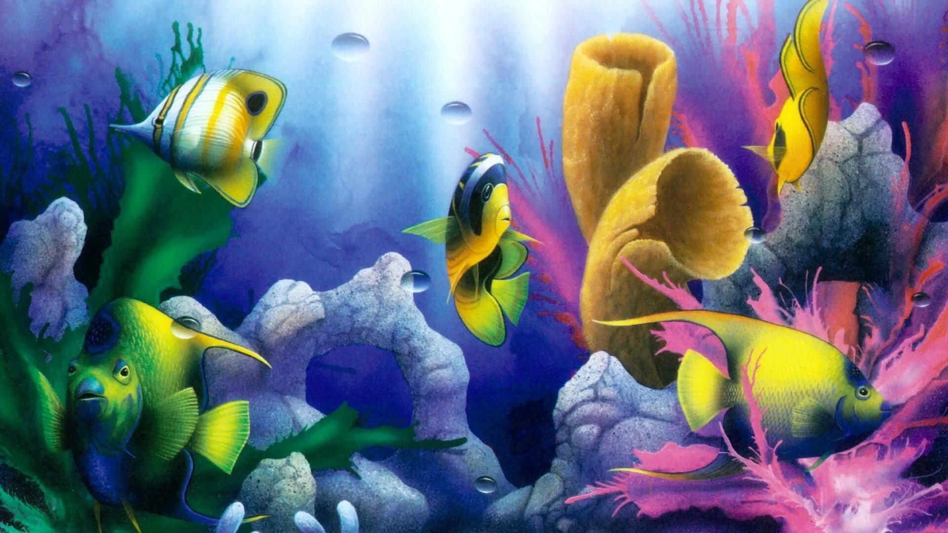 Живые обои разные. Рыбки для аквариума. Обои аквариум. Фотообои рыбки. Живые обои рыбки.