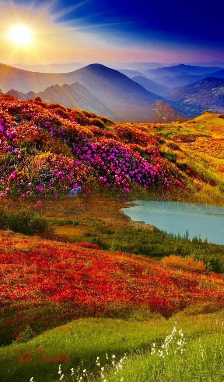 Красивые пейзажи природы. Красивые виды природы. Картинки красочные природа. Природа цветы. Яркий пейзаж.