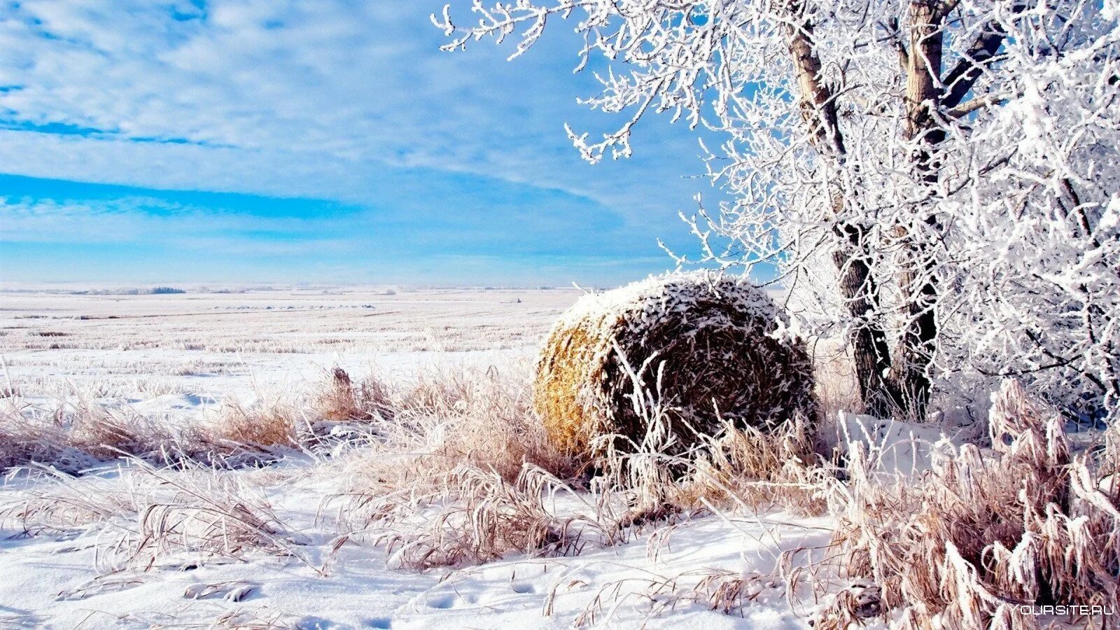 Зимнее сено. Зимнее поле. Зимний пейзаж. Февральский пейзаж. Зимняя природа.