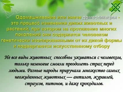 Одомашнивание это