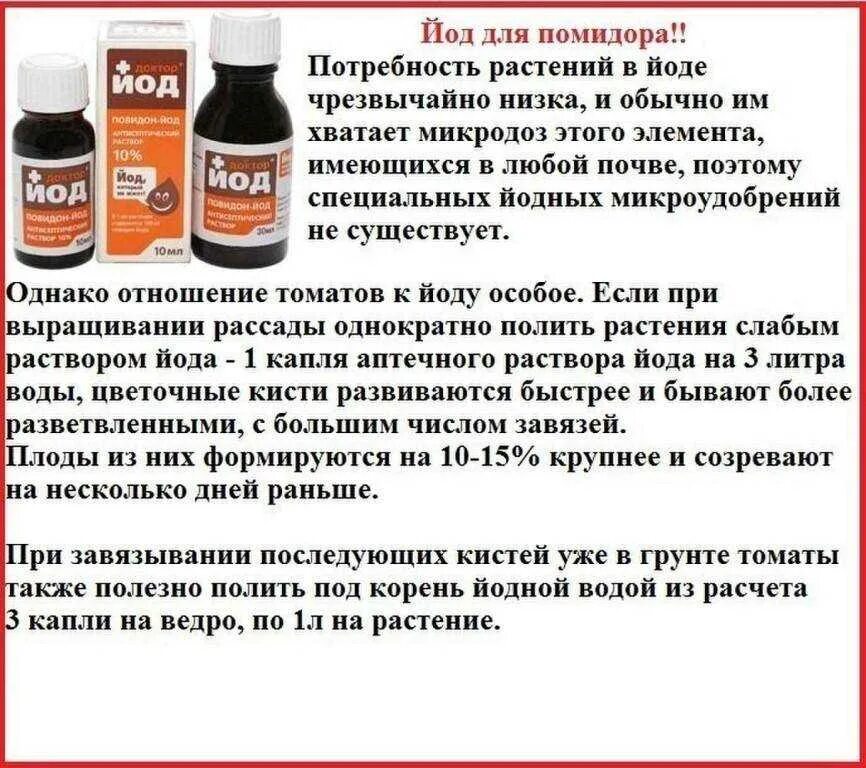 Сколько капель йода нужно. Раствор с йодом для обработки. Йод для томатов. Удобрение с йодом для помидор. Йодный раствор для обработки растений.