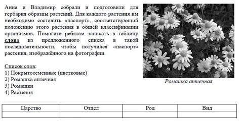 Какие растения называют однолетними впр 6 класс