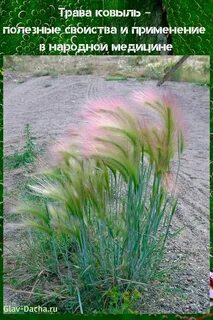 Узкая грубая