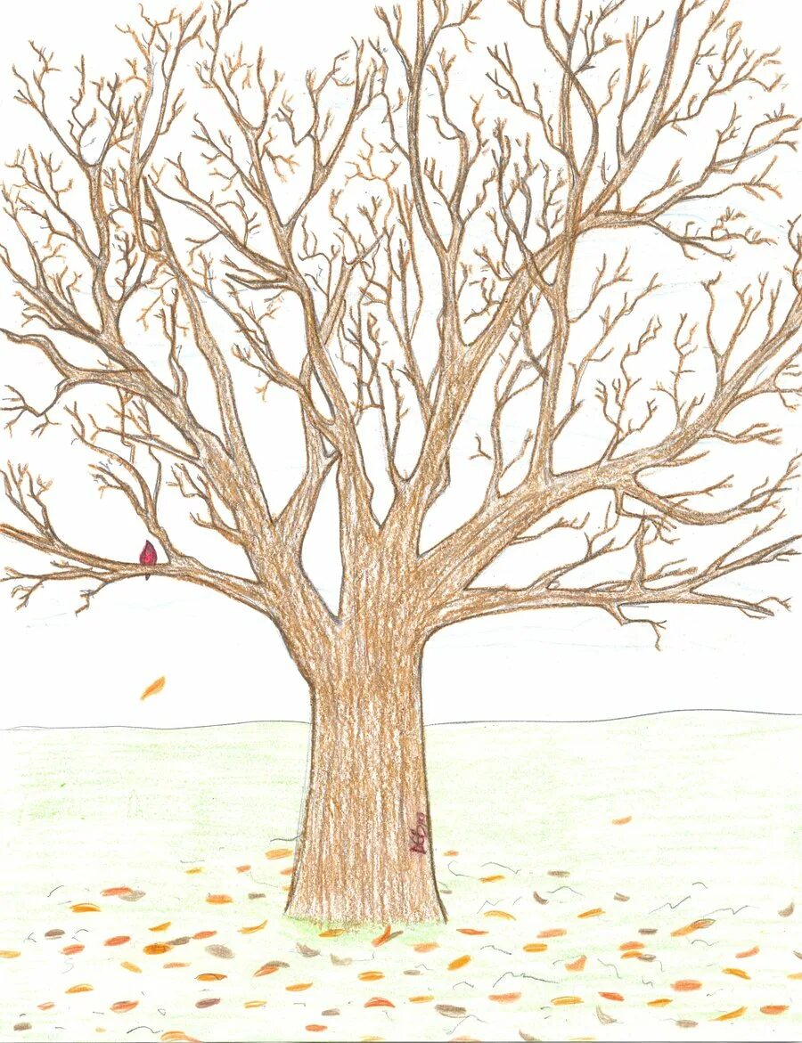 Дерево простым карандашом. Дерево рисунок карандашом. Поэтапное рисование ствола дерева. Как нарисовать дерево без. Дерево для рисования.