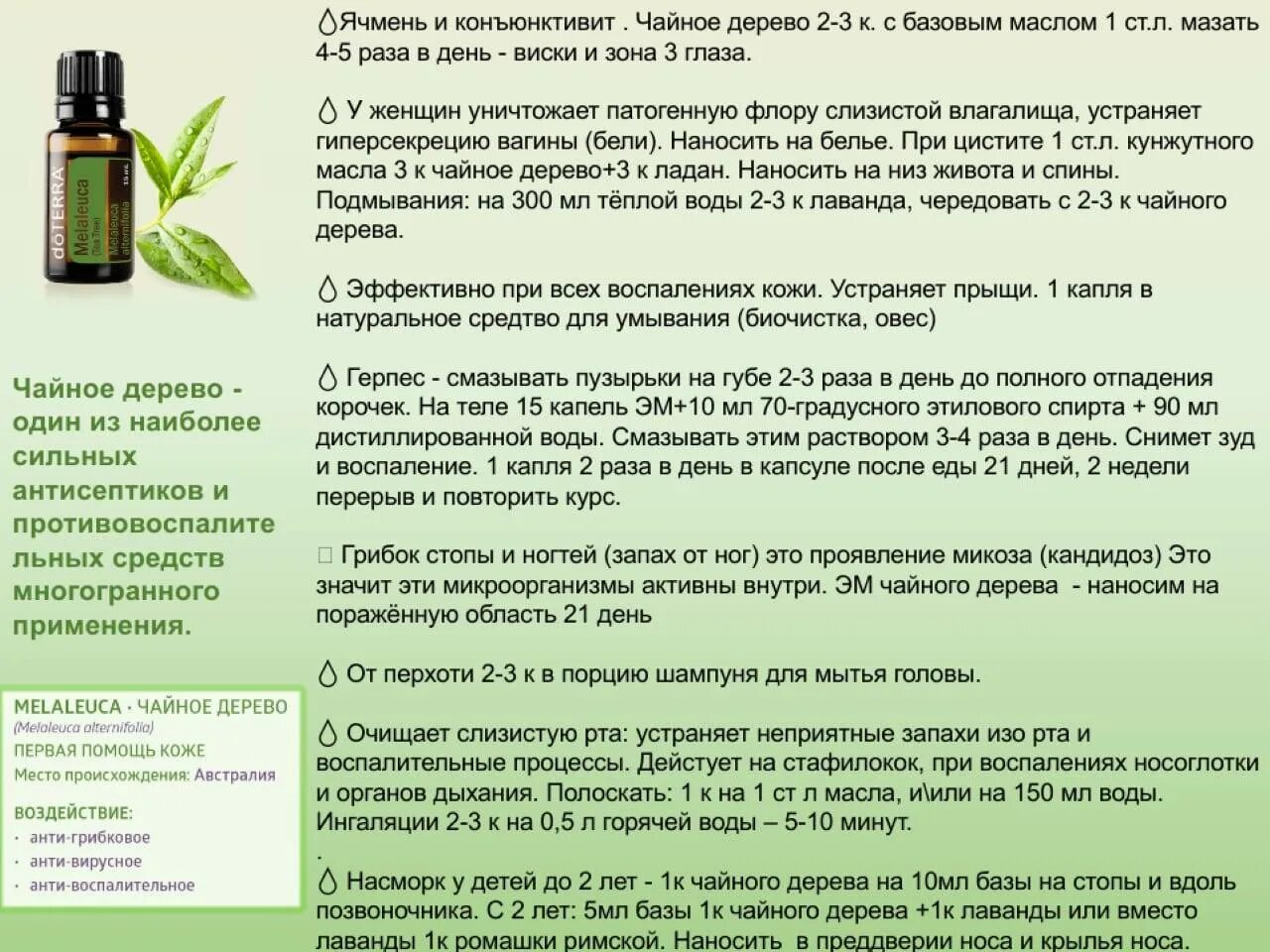 Масло чайного дерева DOTERRA. Эфирное масло чайного дерева Гринвей. DOTERRA эфирные масла чайное дерево. Масло чайного дерева Детера. Какие масла можно наносить