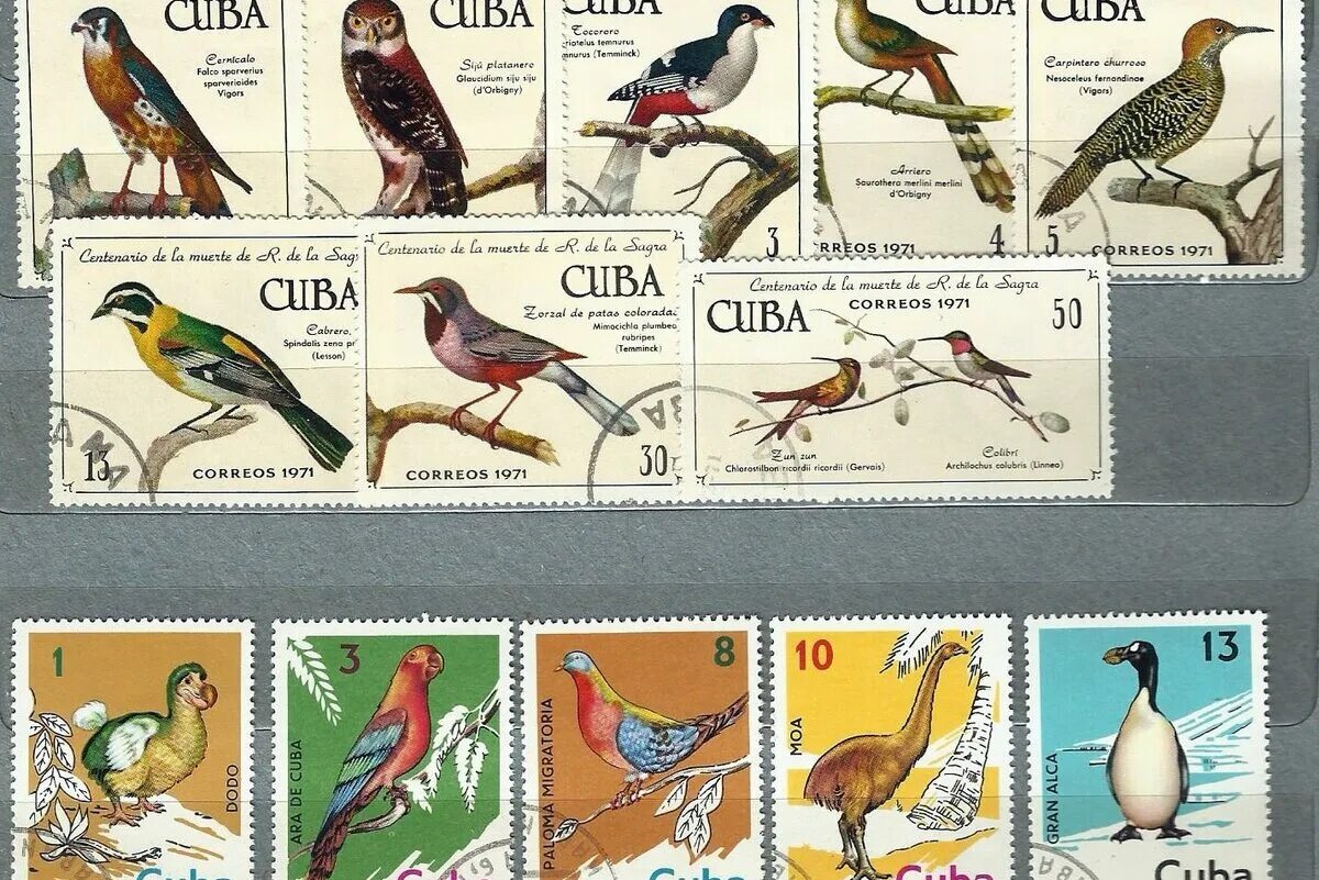Кубинские марки. Марки Куба фауна. Марки Cuba 1971. Кубинские почтовые марки. Почтовые марки Куба животные.