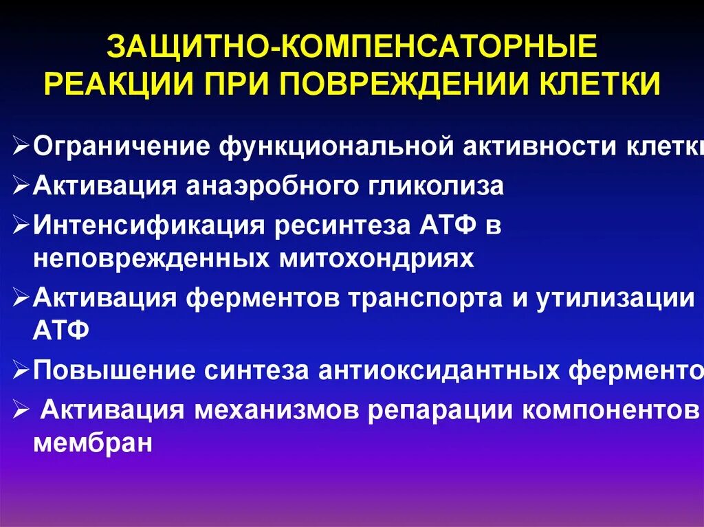 Защитно компенсаторные реакции. Компенсаторные механизмы организма. Защитно-компенсаторные клеточные механизмы. Защитное компецаторные реакции организма.