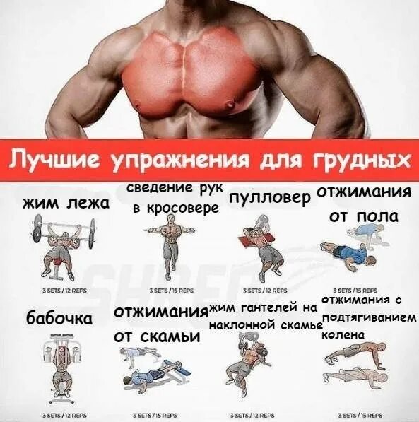 Программа качков