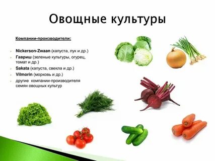 Какие овощи есть весной