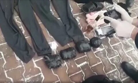 Стригункова задержание