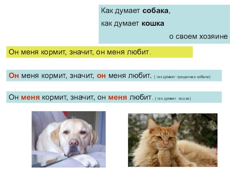 О чем думают собаки. Как думают кошки и собаки. Собака думает. Думать как собака.