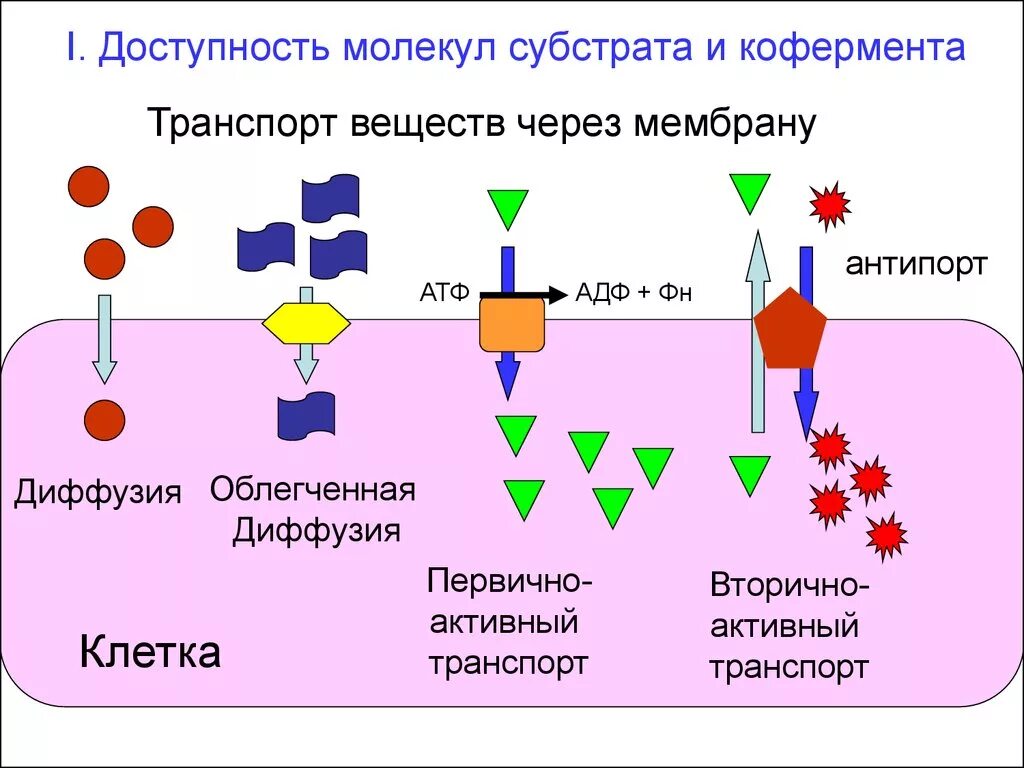 Функции субстратов