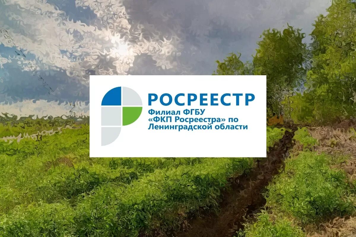 Сайт росреестра белгородской области. Росреестр. Логотип Росреестра. Картинка Росреестра. ФГБУ ФКП Росреестра.