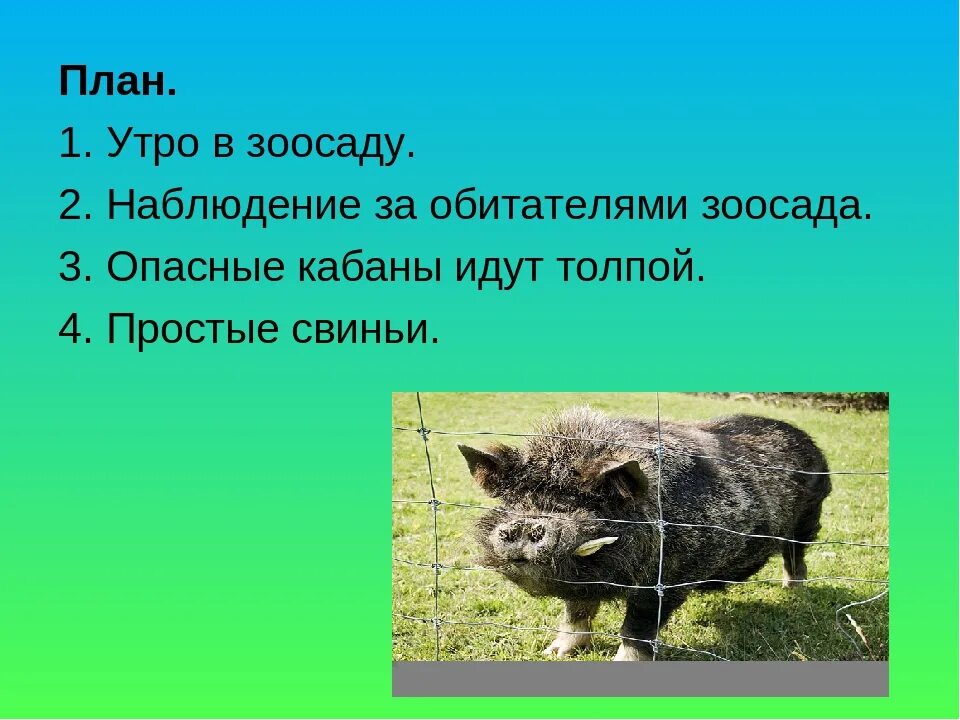 Главный герой произведения кабан. Чарушин кабан план к тексту. План рассказа кабан. План рассказа кабан Чарушин. Gkfy GJ рассказe кабан.