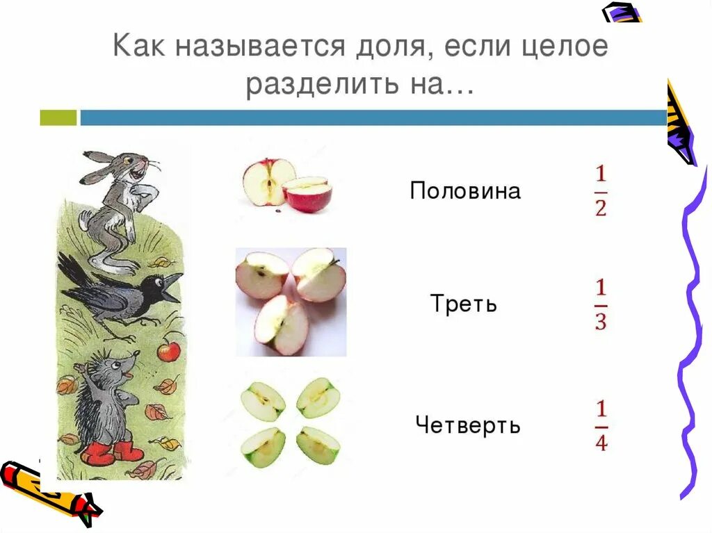 Доли половина треть. Половина треть четверть. Треть четверти это сколько. Презентация доли.