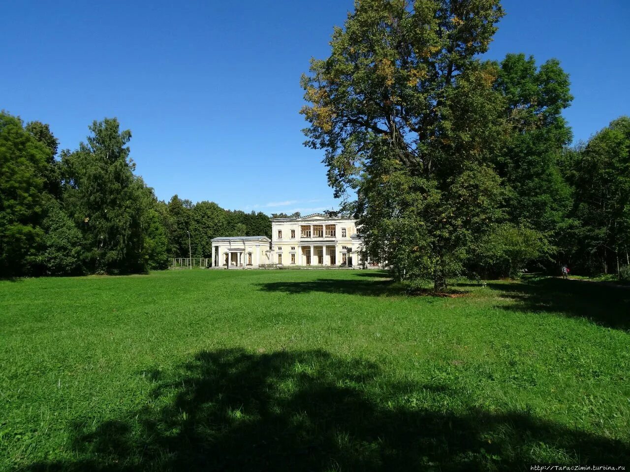 Дача сергиевка петергоф. Петергофские дачи фото. Днп петергофские предместья. Петергофские дачи. Петергофские дачи.