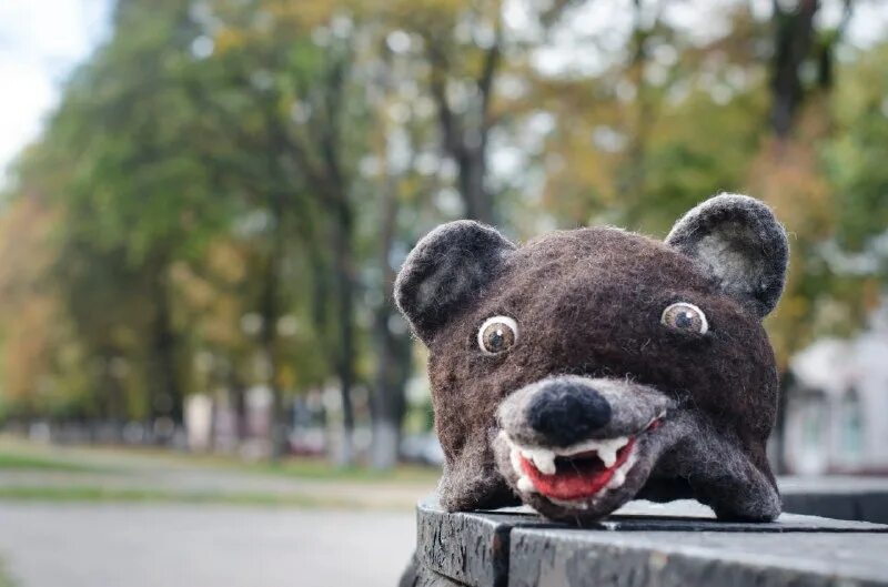 плюшевые мишки путешествуют.