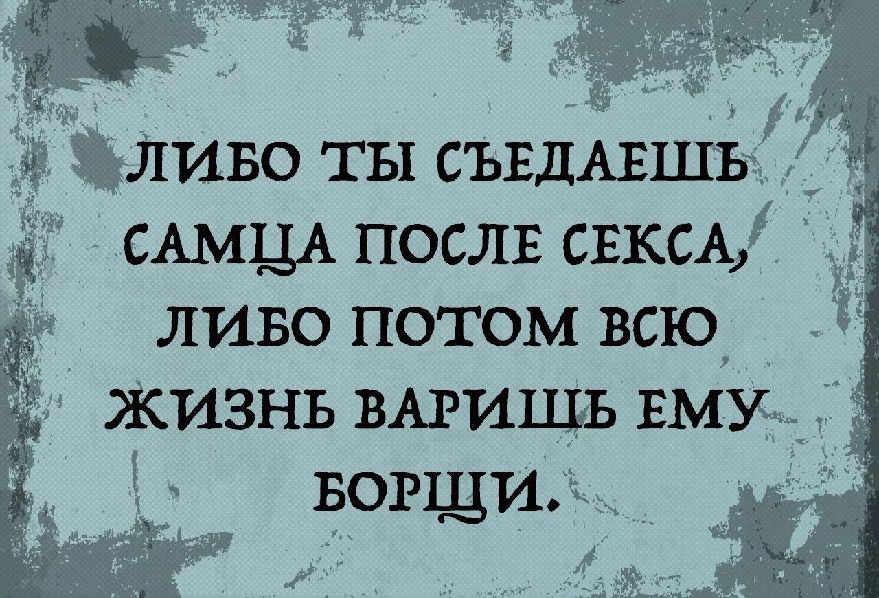 Умные фразы без матов. Как ответить на оскорбление. Обидные фразы. Фразы оскорбления. Как отвечать на оскорбления остроумно.