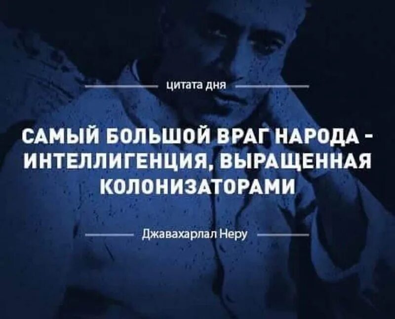 Проблем интеллигенции. Цитаты об интеллигенции. интеллигенция цитаты афоризмы. интеллигенция высказывания афоризмы. высказывание ленина об интеллигенции.