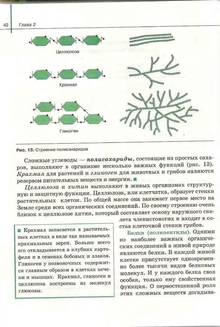 Биология 10 класс читать сивоглазов. Биология 10 класс учебник параграф 1. Сивоглазов биология 11 класс учебник 10 параграф. Биология Агафонова Сивоглазов 10 11 класс. Биология 10 класс 10 параграф.