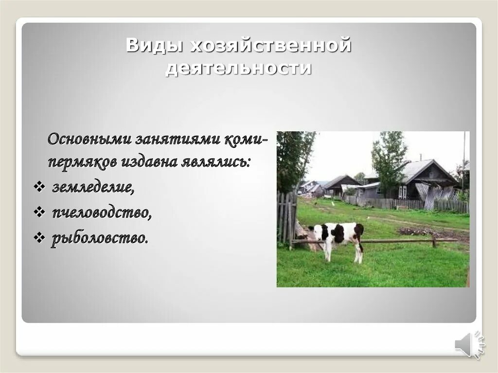 Какие виды хозяйственной деятельности являются основными. Хозяйственная деятельность Республики Коми. Традиционная хозяйственная деятельность Коми. Коми пермяки хозяйственные занятия. Хозяйственное и Повседневное деятельности в Коми.