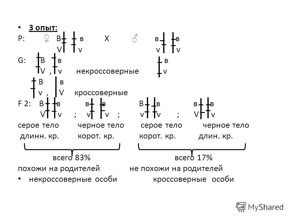 Хромосомная теория наследственности презентация 10 класс