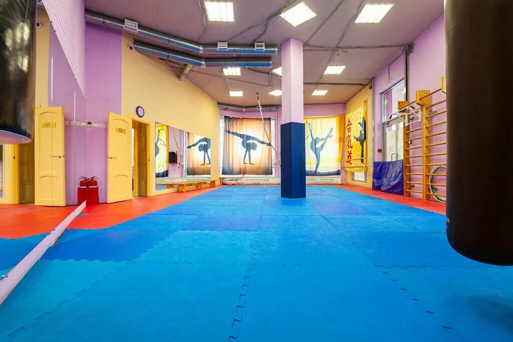 спортивные центры новосибирска. спортивный центр 7. спортивный центр 7. Playground баскетбол савеловская. миллениум английский в бутово.