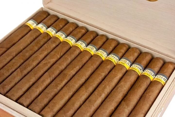 Кубинский сигары спб. Кубинские сигары Cohiba esplendidos. Сигариллы Wild Tail. Сигариллы вилд Тайл. Сигариллы Chapman.