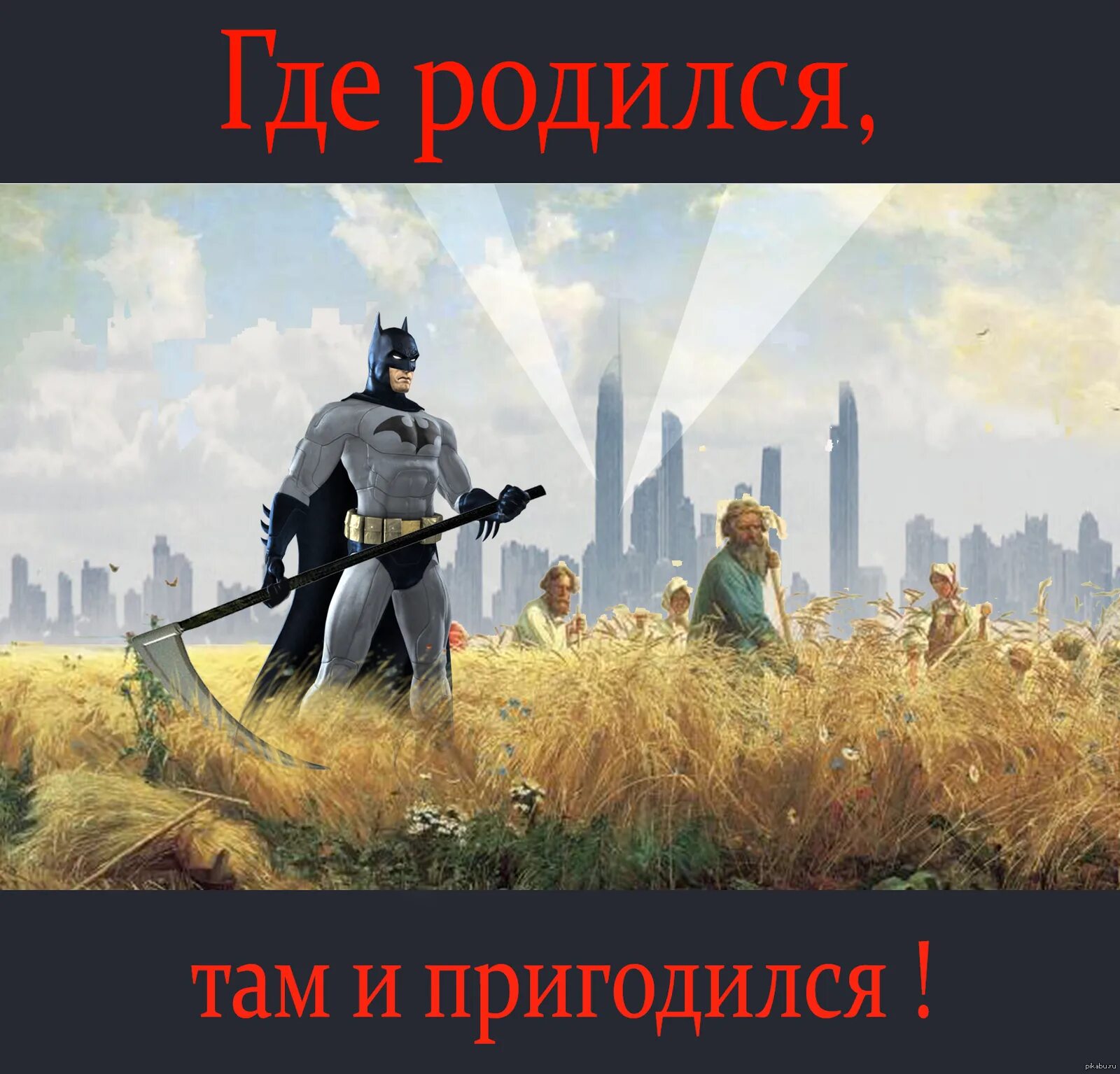 Пословица где родился там и сгодился. Где родился там и пригодился. Где родился там. Где родился там и пригодился картинка. Где уродился там и пригодился.