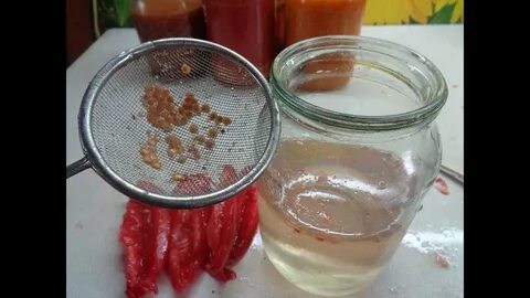 Промыть семена помидоров