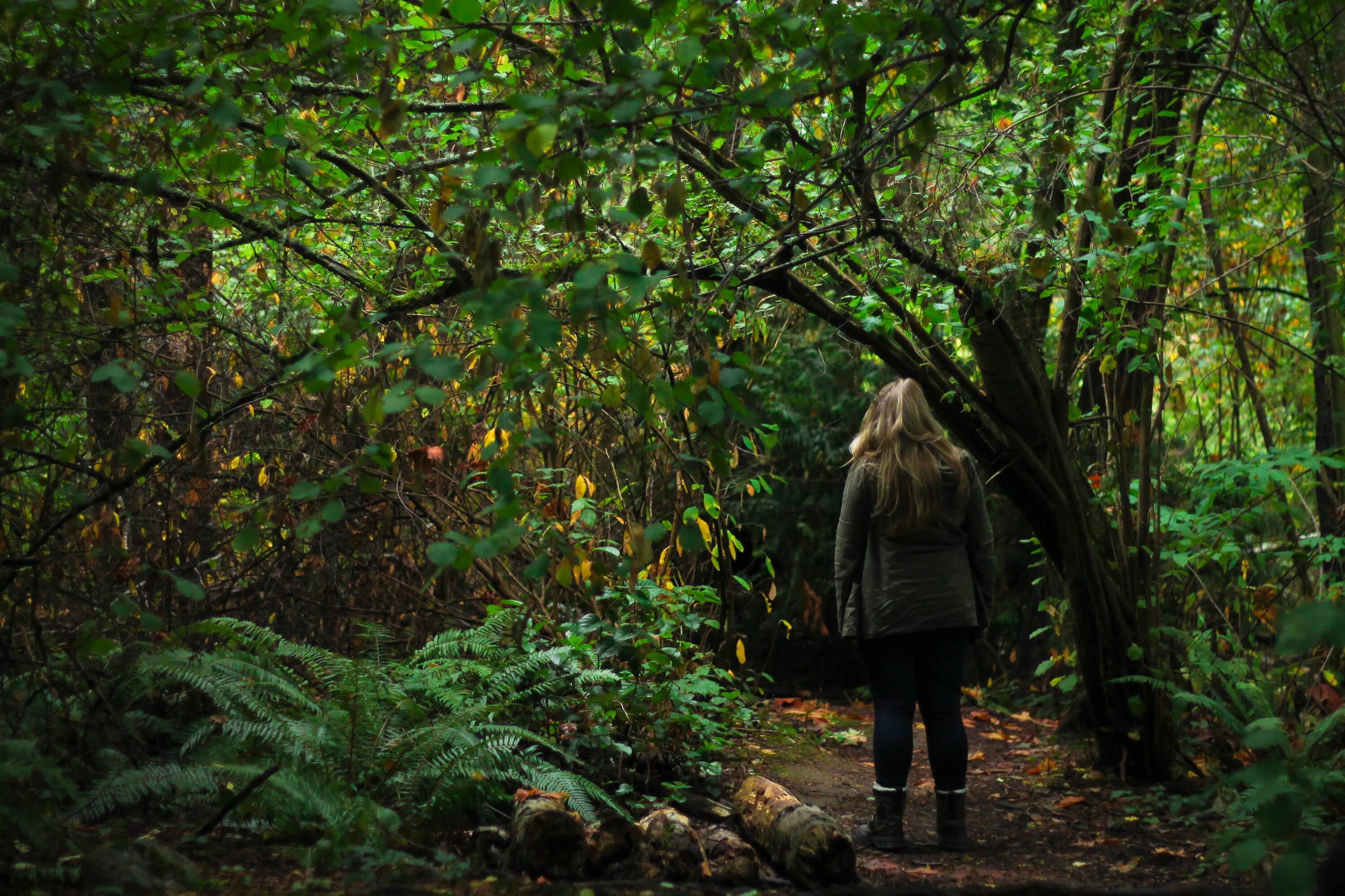 Delphine in the forest