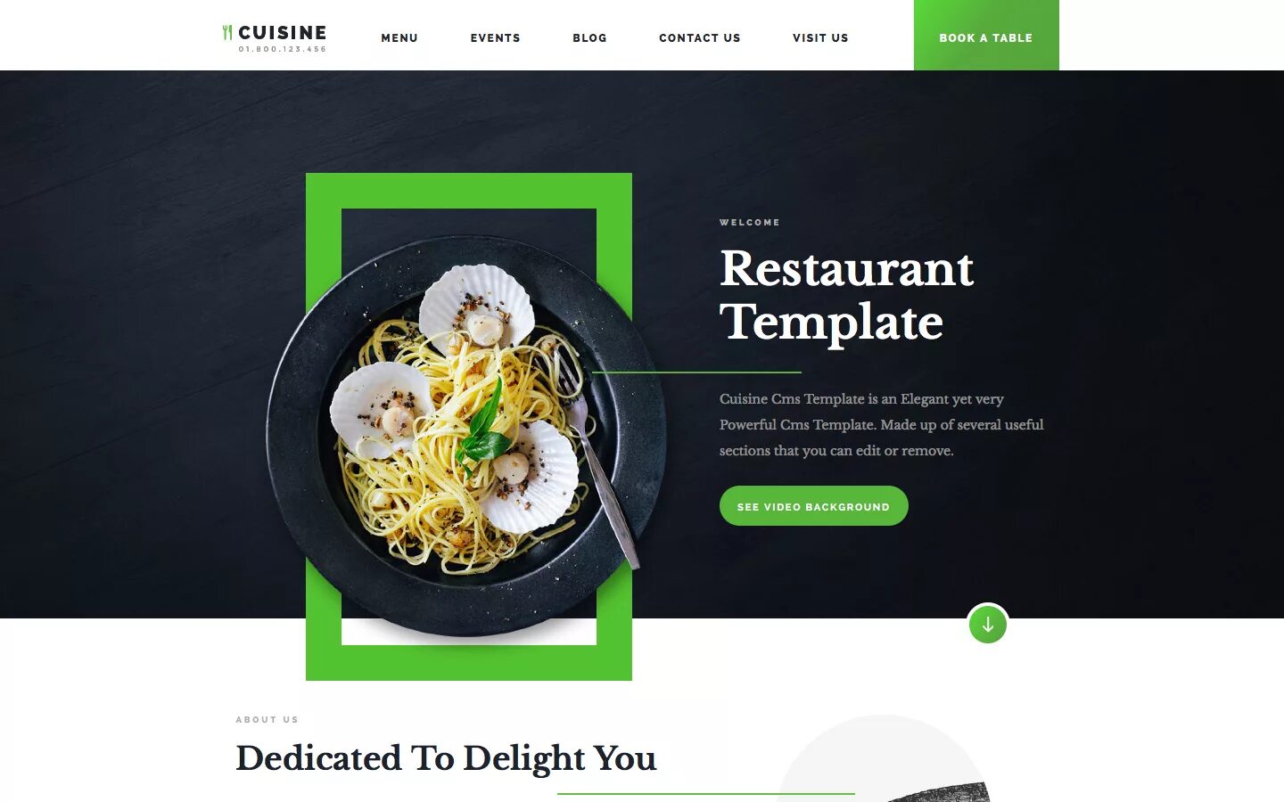 Rest site. Restaurant template. food website design. restaurant website. web template.