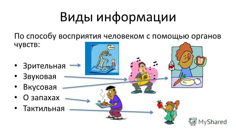 Новые способы получения информации. Способы восприятия информации. Способы восприятия информации человеком. Способы восприятия информации Информатика. Формы восприятия информации.