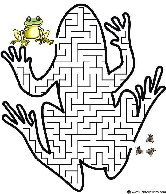Frog Maze Printable Frog activities, Mazes for kids, Frog crafts