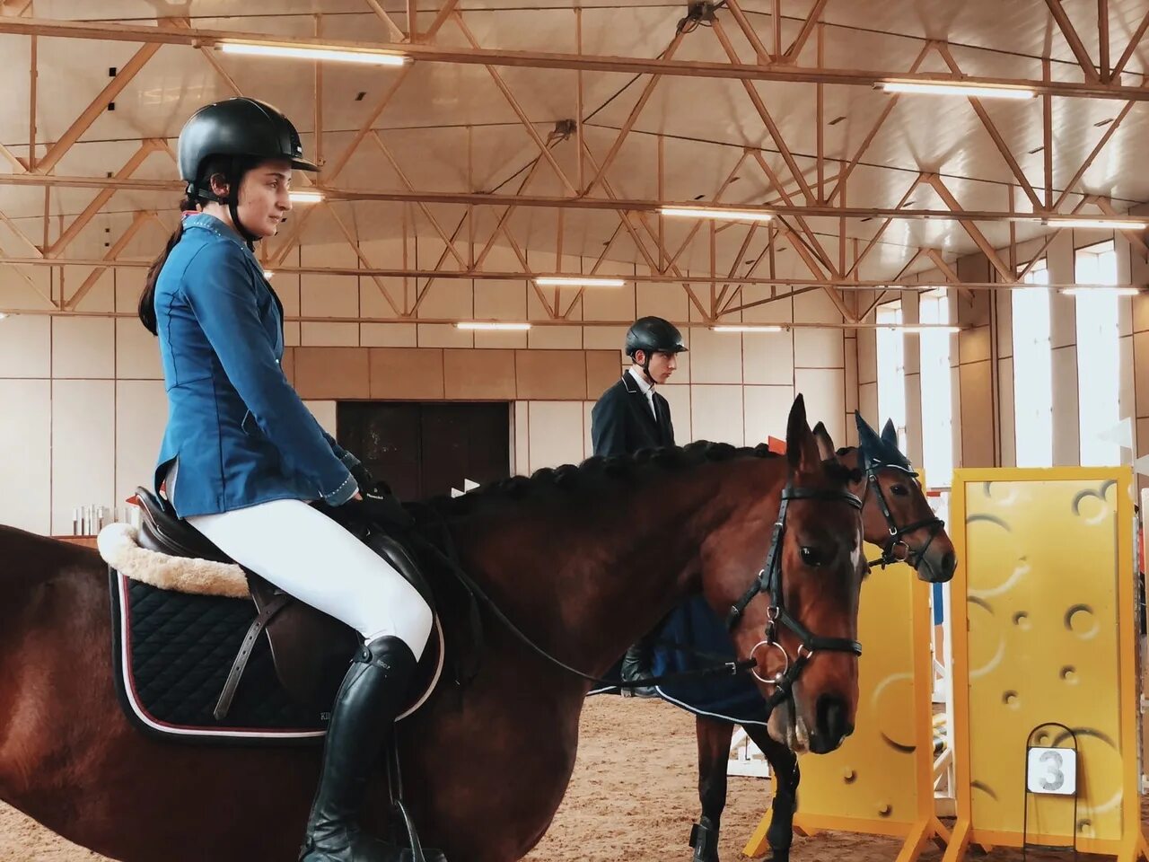 конный спорт 2024