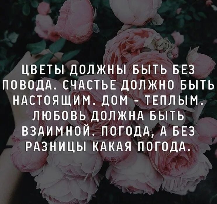 Цветы без повода статусы. Дарите девушкам цветы без повода цитаты. Цитаты про цветы. Цветы без повода цитаты. Фразы про цветы без повода.