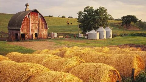 Field and fence by the farm