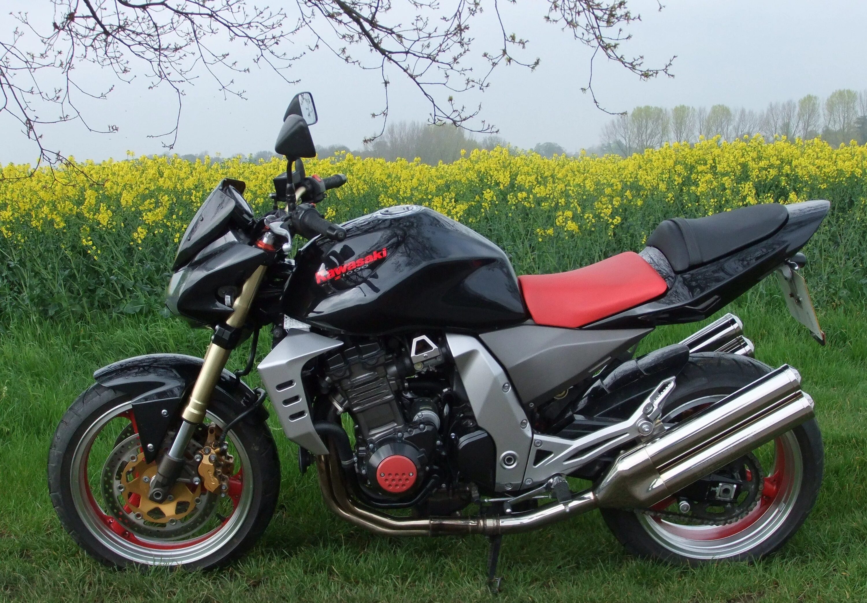 Z 100 1. Kawasaki z1000 2004. kawasaki z1000 2003. kawasaki z1000 2007. кавасаки z1000 2004.