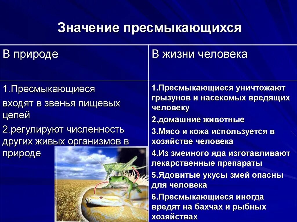 Таблица пресмыкающиеся функции. Значение пресмыкающихся в природе и для человека. Значение пресмыкающихся в природе биология 7 класс. Пресмыкающиеся значение в природе и жизни человека. Роль рептилий в природе и жизни человека.